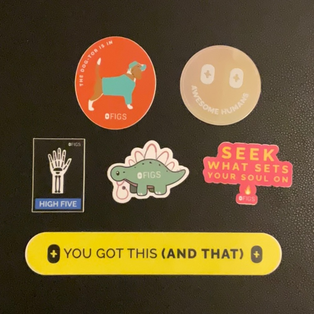 FIGS stickers